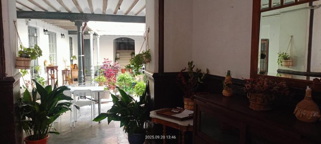 El Gobernador las casas patio